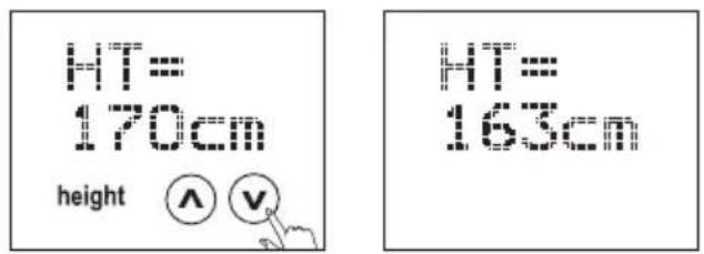 SOEHNLE Body Balance Comfort FS5 - Installation - 7