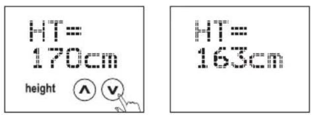 SOEHNLE Body Balance Comfort FS5 - Instalace - 6