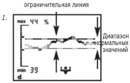 SOEHNLE Body Balance Comfort FS5 - OTo6paXeHne TpeHda - 1