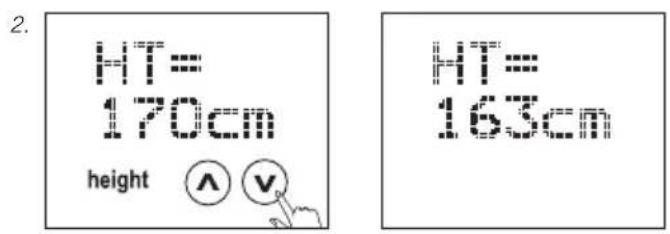 SOEHNLE Body Balance Comfort FS5 - Valmistelu - 7