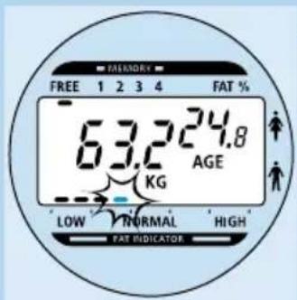 PHILIPS HF390 - Sādan bruges memory-funktionen - 6