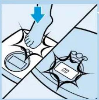 PHILIPS HF390 - Pesaje sin indicacion de grasa corporal - 1