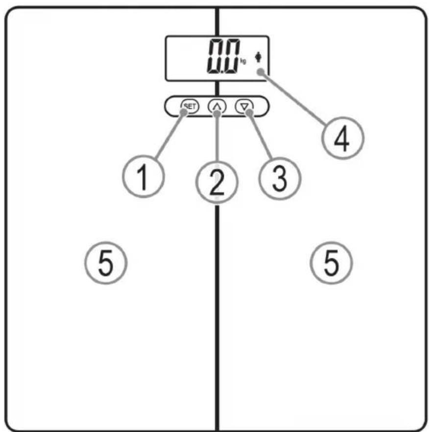 AEG PW 5661 FA - Übersicht der Bedienelemente - 1