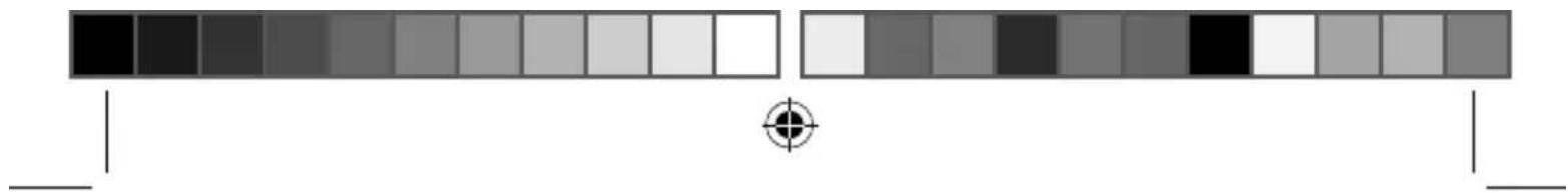 TAURUS Dublin - Ipepepa6oTka - 2