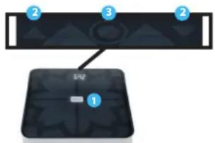 MEDISANA BS 440 Connect - B) Réglage des données personnelles sur le pèse-personne / Mesure du poids avec fonction d'analyse - 1