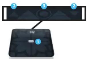 MEDISANA BS 440 Connect - B) Setting the personal data in the scales / Weighing with body analysis - 1