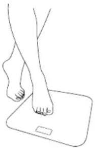 MEDISANA BS 440 Connect - Innan du kan börja använda vägen, måste du dra bort isoleringsremsan ur batterifacet på enhetens undersida - 1