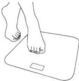 MEDISANA BS 430 Connect - A) Einfache Gewichtsmessung mit der „Step-On“- Funktion - 1