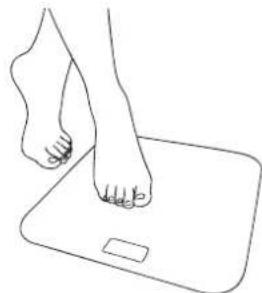 MEDISANA BS 430 Connect - D) Weight measurement using your smartphone and the VitaDock+ app - 4