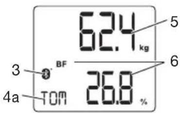 SANITAS SBF 70 - Display - 1