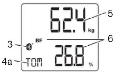 SANITAS SBF 70 - Écran - 1