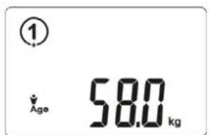CASO BF4 - Weighing and measuring - 2