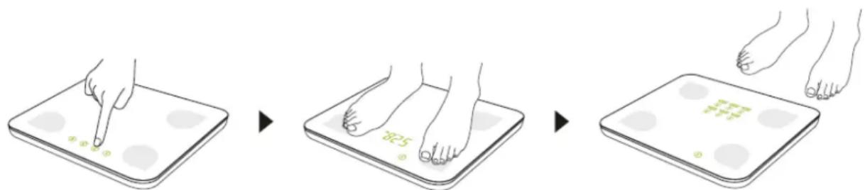 CASO BF4 - "One-key operation" fast measuring - 1