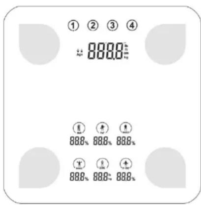 CASO BF4 - Touch keys and Digital Display - 1