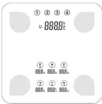 CASO BF4 - Pantalla digital y Campos de control - 1