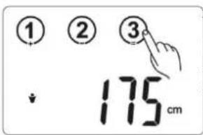 CASO BF4 - Basisinstallungen - 7