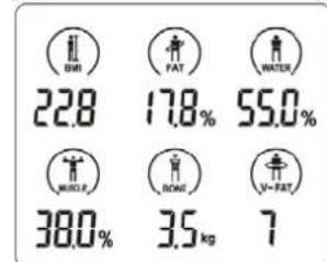 CASO BF4 - Weighing and measuring - 4