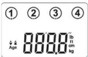 CASO BF4 - Basisinstallungen - 1