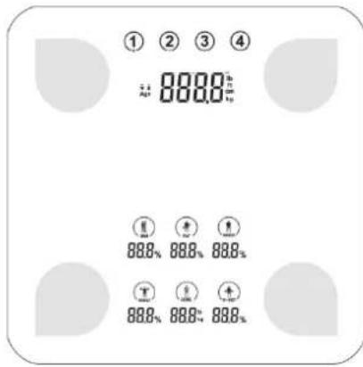 CASO BF4 - Bedieningsvelden en digitaal display - 1