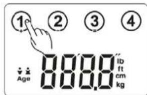CASO BF4 - Base settings - 2