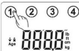 CASO BF4 - Basisinstallungen - 3