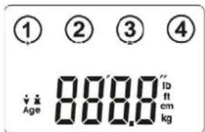 CASO BF4 - Base settings - 1