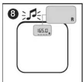 TERRAILLON Family Coach Team - B: MEDIDA Y CLASIFICACION DEL IMC (INDICE DE MASA CORPORA) - 8