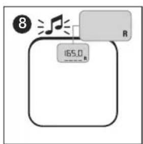 TERRAILLON Family Coach Team - B:MESURE ET CLASSIFICATION DE L'IMC - 8