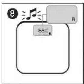 TERRAILLON Family Coach Team - B: CALCULATION AND CLASSIFICATION OF BMI - 8