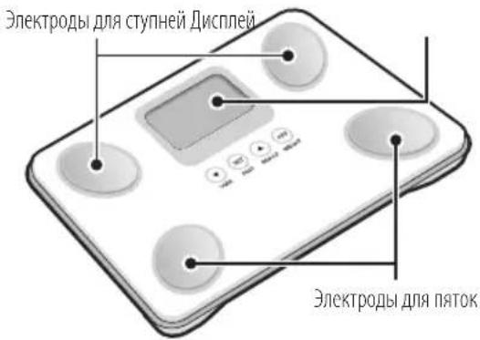TANITA BC731 - XAPAKTEPNUKNIΦyHKUIN - 1