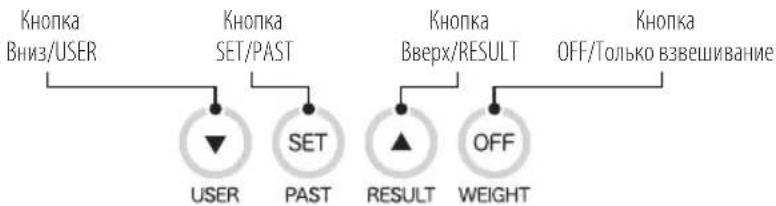 TANITA BC731 - XAPAKTEPNUKNIΦyHKUIN - 3