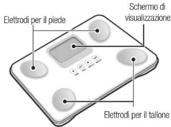 TANITA BC731 - Lato anteriore - 1