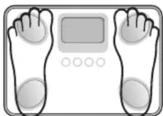 TANITA BC731 - AFLEESNAUWKEURIGHEID - 2
