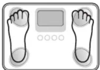 TANITA BC731 - AFLEESNAUWKEURIGHEID - 1