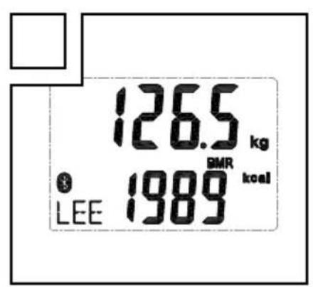 SILVERCREST IAN 278152 - BODY ANALYSISER SCALE - 8