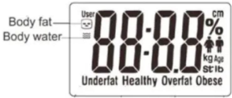 Beper 40.808A - BERECHNUNG FLUSSIGKEITENANTEIL UND KÖRPERMASSE - 1