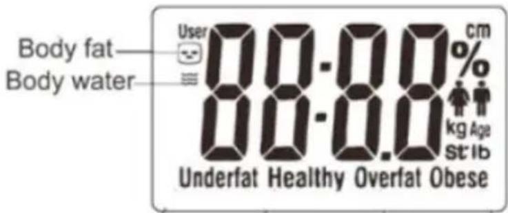 Beper 40.808A - GETTING WEIGHED AND OBTAINING WATER AND BODY FAT PERCENTAGE - 1
