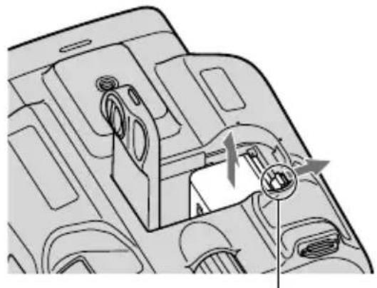 SONY DEV5K - Tips - 1