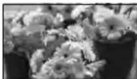 SONY DEV5K - Remarques - 2