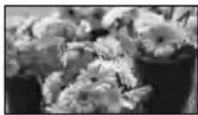 SONY DEV5K - Type of subjects that should be displayed on the screen for [Auto 3D Lens Adjust] - 2