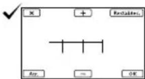 SONY DEV5K - Notas - 10