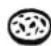 INDESIT IFG 63 K.A (WH) S - Programma MULTICOTTURA - 1