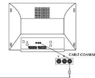 Finlux CTW2827T DVD - BRANCHEMENT DES SORTIES AUDIO DU DVD - 2