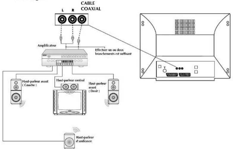 Finlux CTW2827T DVD - BRANCHEMENTS DES SORTIES AUDIO DU DVD - 1