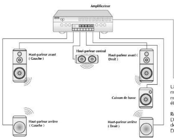 Finlux CT2112TN DVD - BRANCHEMENT DES SORTIES AUDIO DU DVD - 1