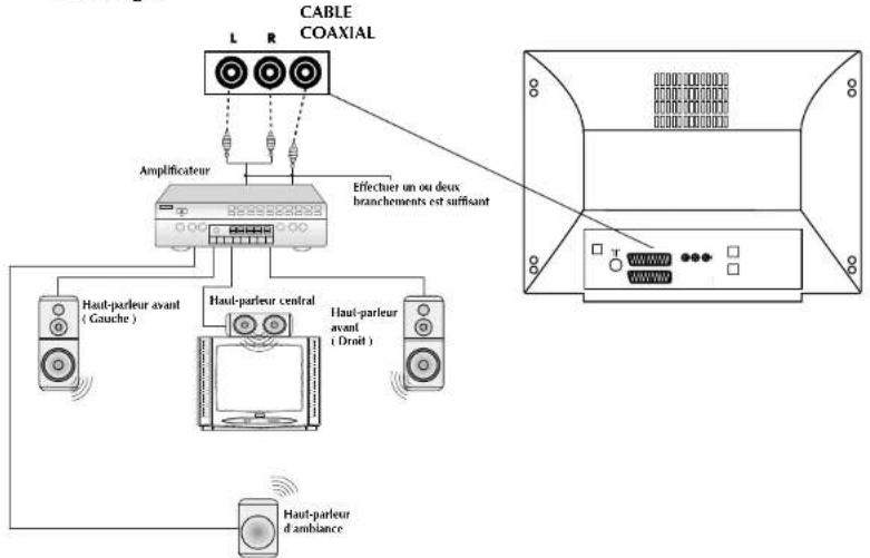 Finlux CT2112TN DVD - BRANCHEMENTS DES SORTIES AUDIO DU DVD - 1