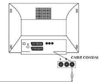 Finlux CT2112TN DVD - BRANCHEMENT DES SORTIES AUDIO DU DVD - 2