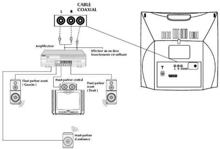 Finlux CT1412T DVD - Branchement de l'amplificateur Dolby Pro Logic - 1