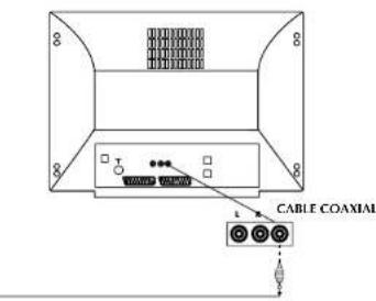 Finlux CTW2827TN DVD - BRANCHEMENT DES SORTIES AUDIO DU DVD - 2