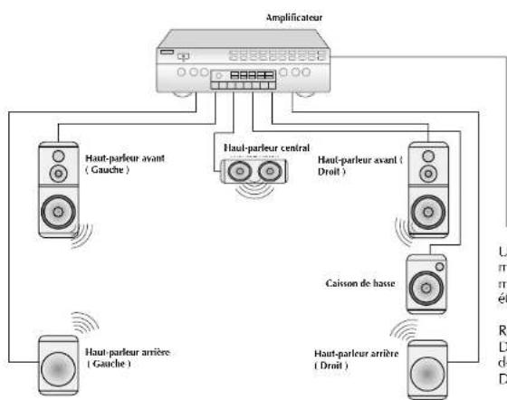 Finlux CTW2827TN DVD - BRANCHEMENT DES SORTIES AUDIO DU DVD - 1